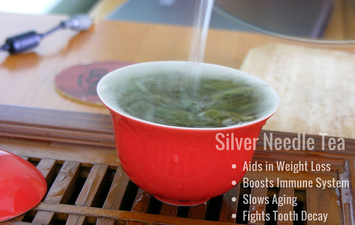 What is Silver Needle Tea?