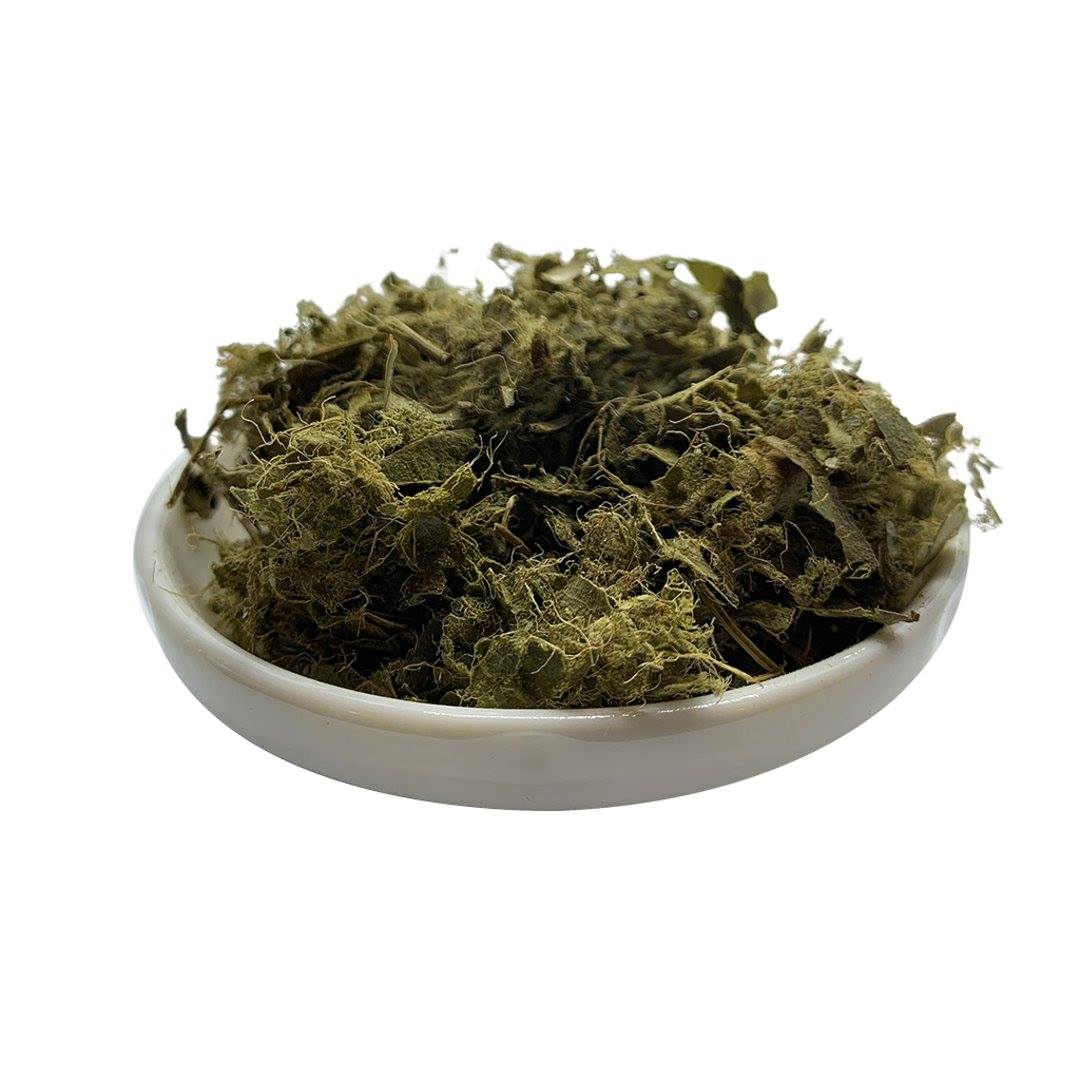 Soursop Leaves: Ancient Healing, Modern Hype—What the Science Says