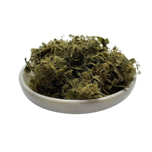 Soursop Leaves: Ancient Healing, Modern Hype—What the Science Says